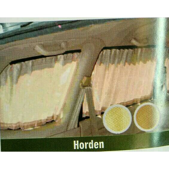 Termurah holden/tirai mobil avanza/xenia