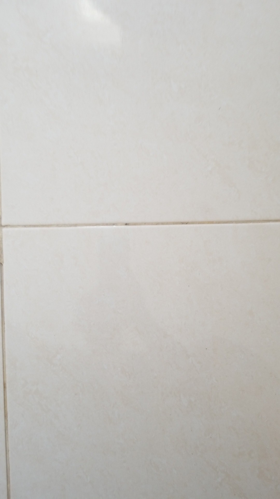 Selang Shower Stainless 150cm Fl8- Selang Per Flexible 1,5 Meter Fleksibel 150 Cm Kloset Mandi /e31