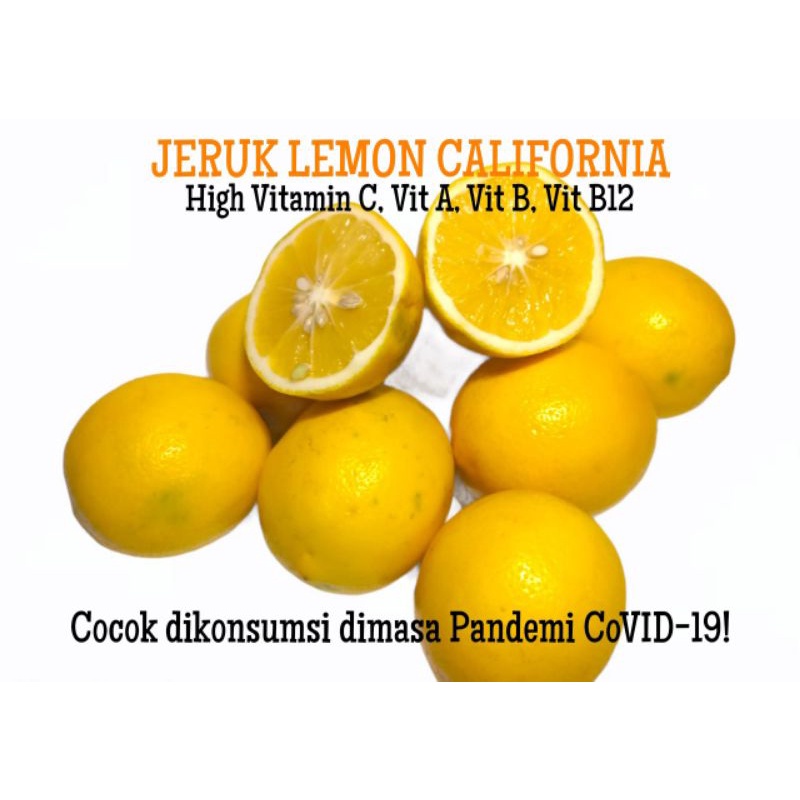 

Jeruk Lemon California