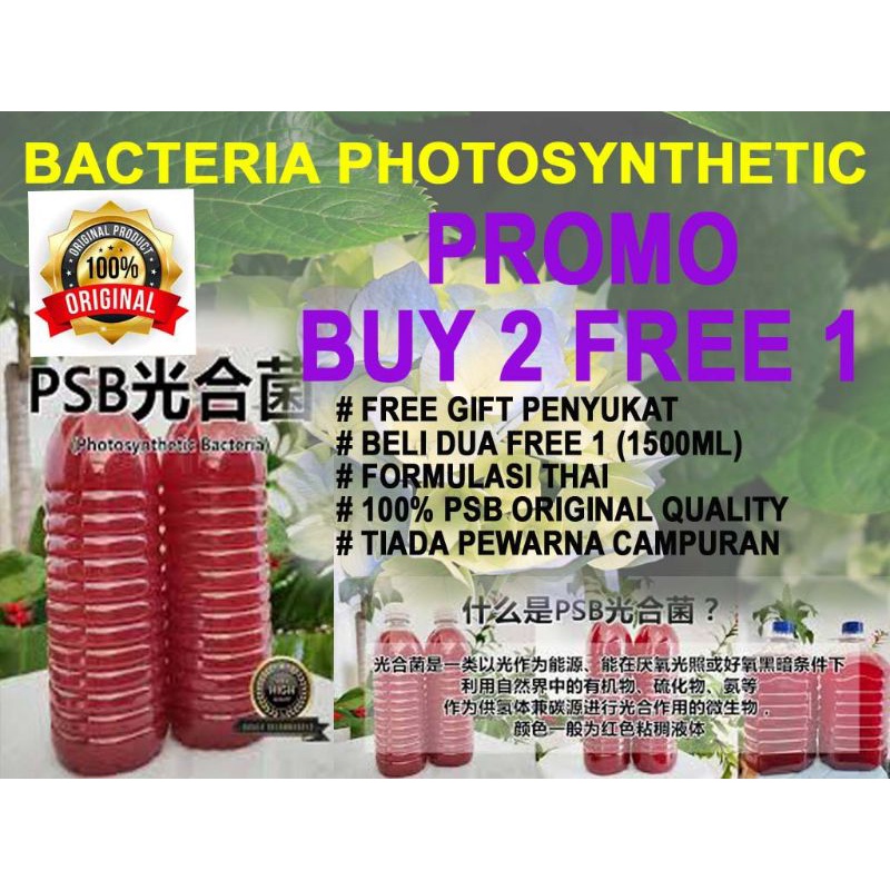 PSB PHOTOCYNTHETIC BACTERIA
