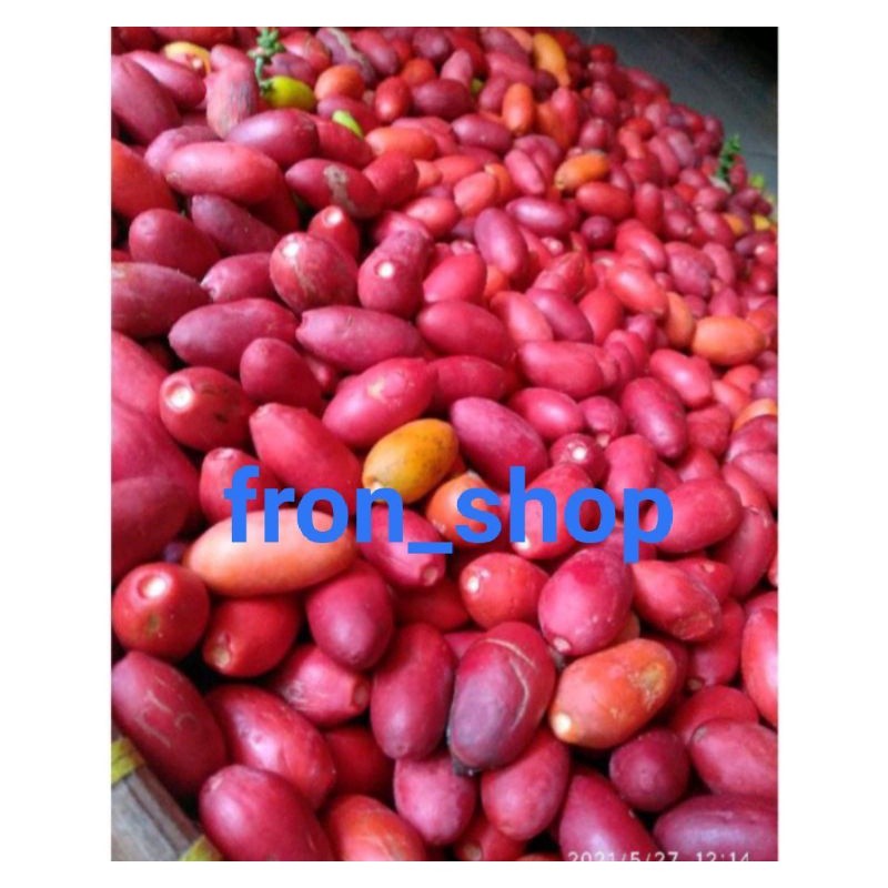 

KULIT MELINJO SEGAR | MELINJO MENTAH | KULIT MELINJO SUPER MERAH MERONA 100%ORIGINAL (250gr)