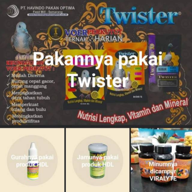 viralyteandtwister