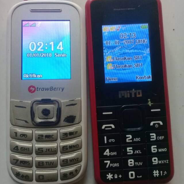 Hp strowberry+hp mito