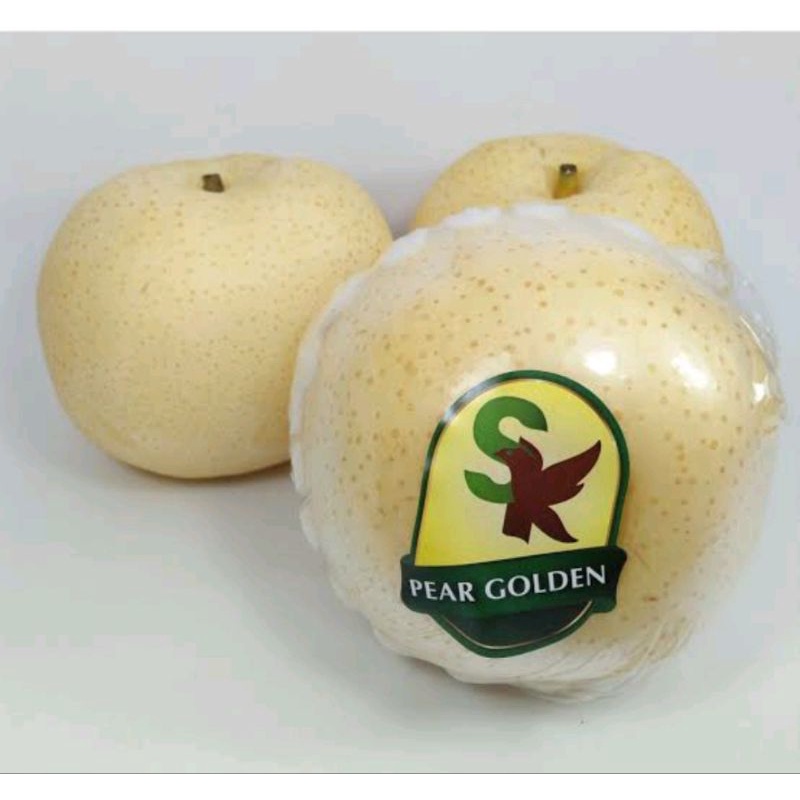 

Pir Golden atau Golden Pear