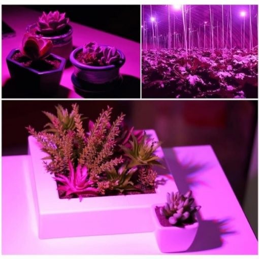 LED Grow Light Bulb Full Spectrum 28 LED with UV - for Indoor Plants