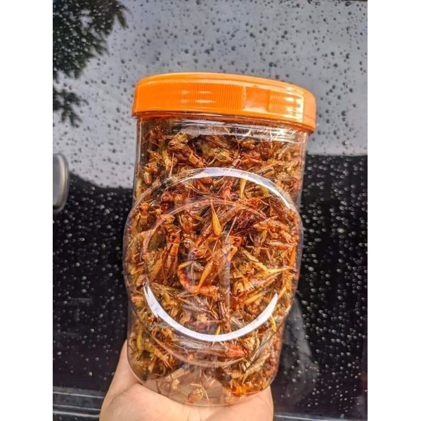 

BELALANG GORENG TOPLES BESAR ENAKK MANTULL