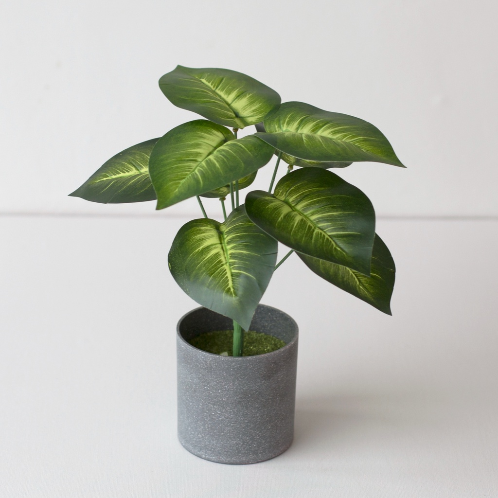 COD Tanaman Daun Plastik Artificial Flower Grey Potted Type White Heart