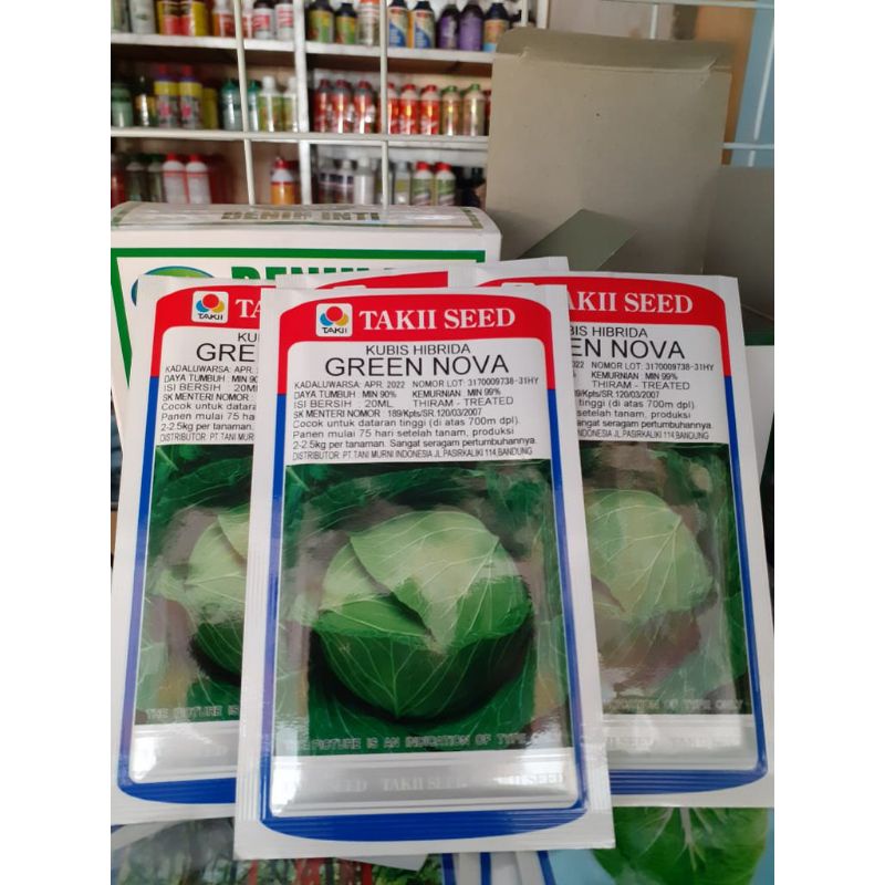 benih bibit kubis green Nova 20 ml
