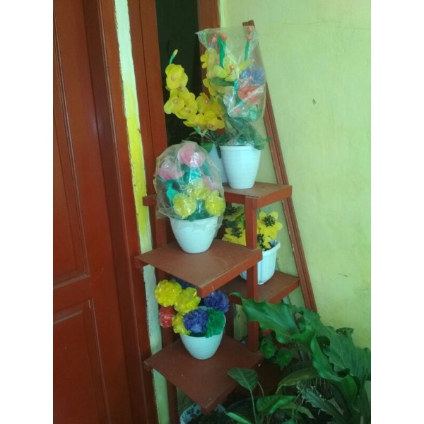 Bermacam - macam bunga hias terlengkap