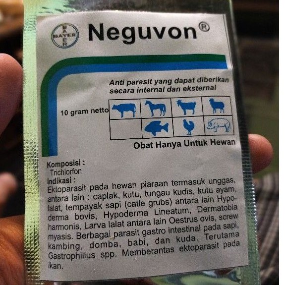 OBAT KUTU LALAT CAPLAK NEGUVON