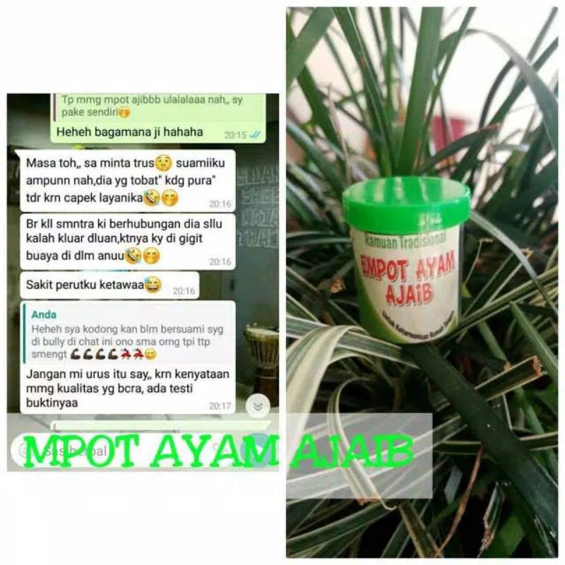 MPOT AYAM MIMI