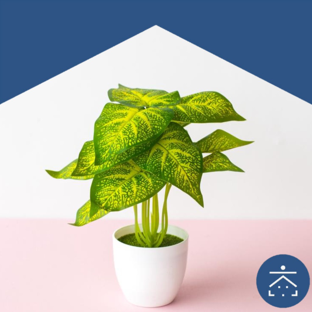 Pot Bunga Plastik Tanaman Hias Artificial Aglaonema Rambat Aglonema Monstera Tawon Murah Import Shopee Indonesia