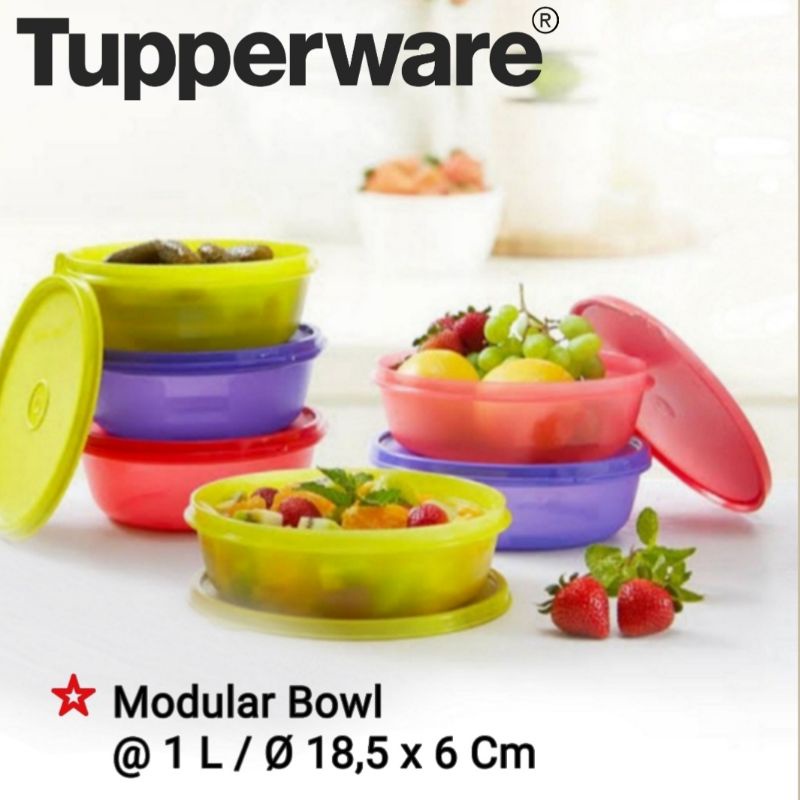 Modular Bowl Tupperware 1 Liter