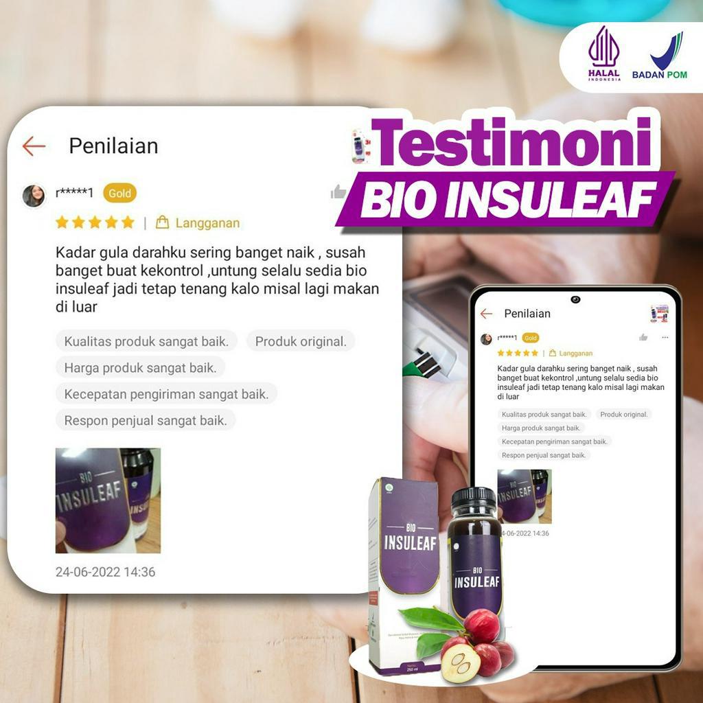 Paket Cegah Diabetes 2 Botol Bio Insuleaf – Herbal Alami Cegah Diabetes Bantu Turunkan Gula Darah Cegah Kencing Manis Asam Urat &amp; Kolesterol BPOM Herbal Anti Diabetes Bantu Kuatkan Daya Tahan Tubuh