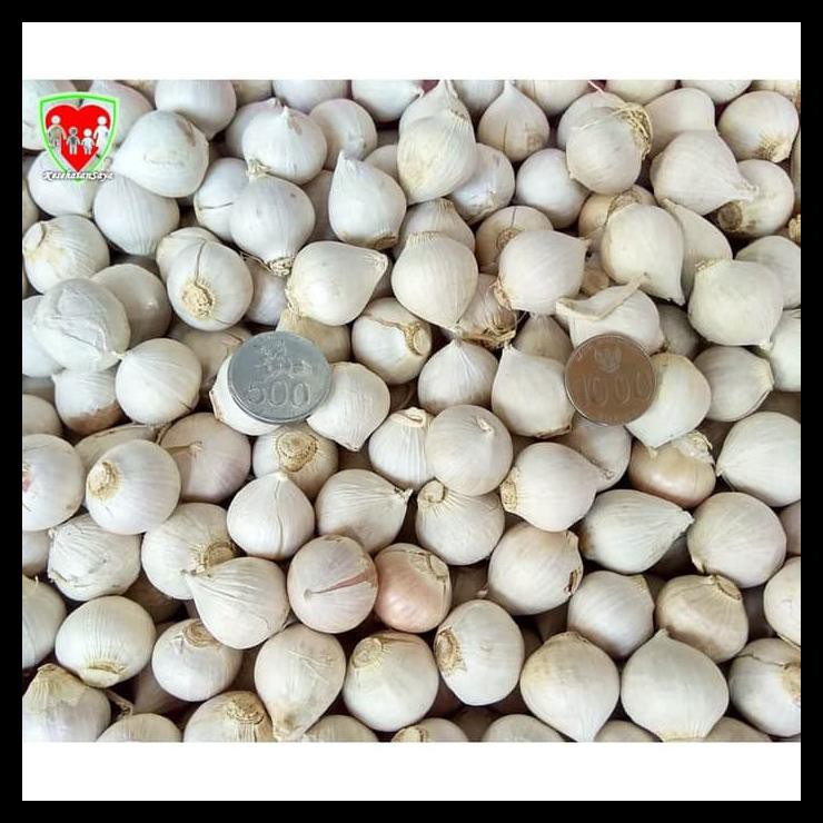 

Ind Bawang Putih Tunggal / Lanang 1 Kg Super Besar Import TERPERCAYA Kode 141