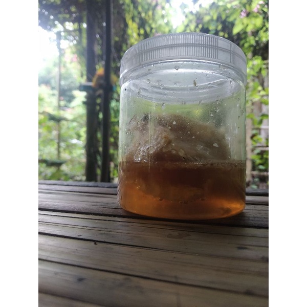 

Polen Madu Lebah Apis