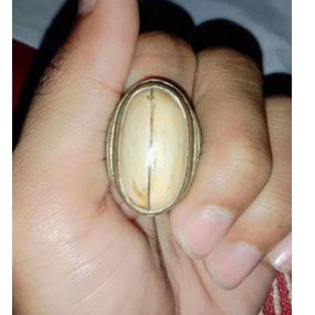 mustika fosil kayu jati langka berkhasiat multifungsi