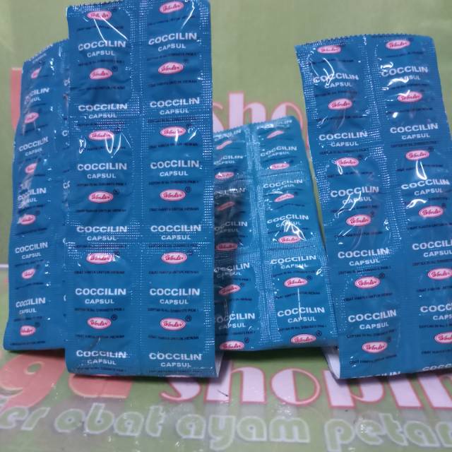 1 strip Coccilin 10cap obat ayam burung  mencret nd tetelo