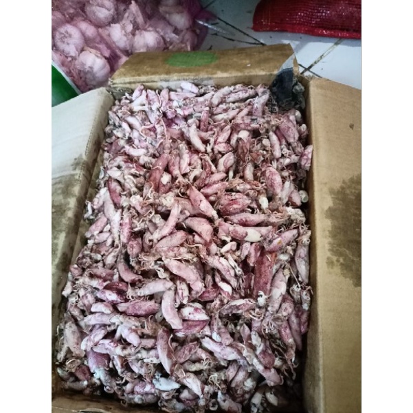 

cumi asin 500gr