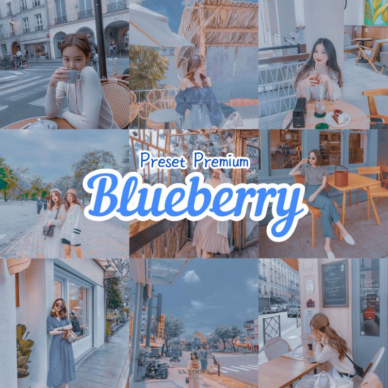 PRESET LIGHTROOM BLUEBERRY PREMIUM (IOS dan Android)