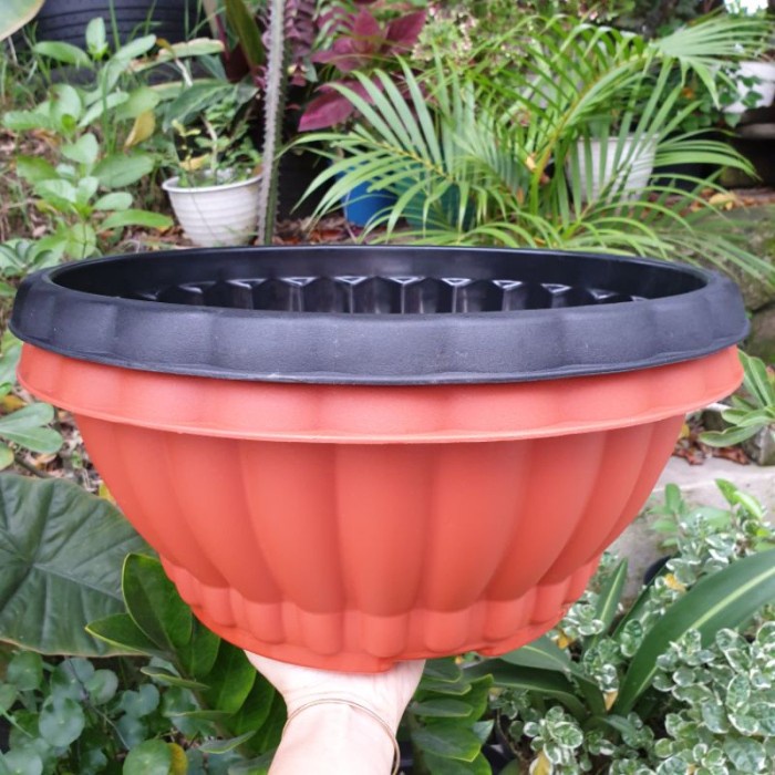 Pot bunga BONSAI ALEXISH DELIMA 35 Pot bonsai bulat besar tebal bagus kuat