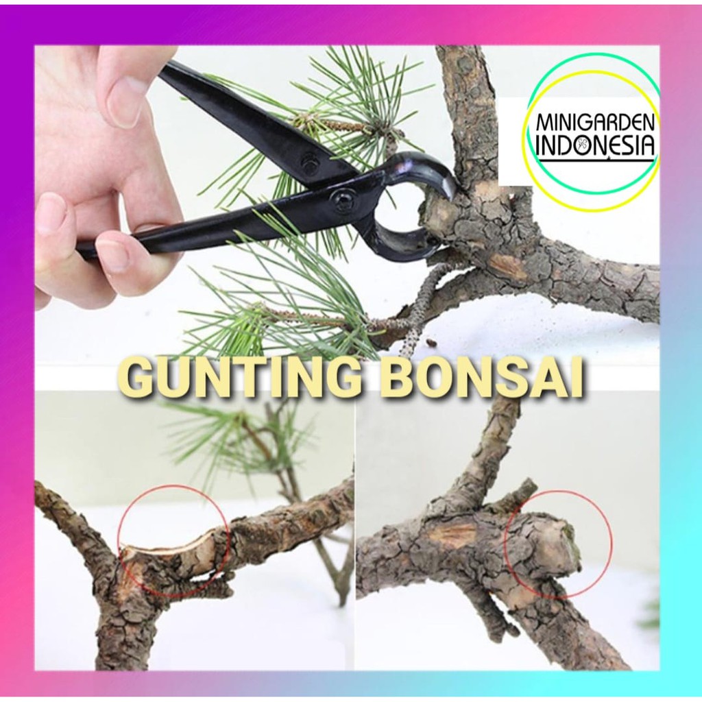 GUNTING BONSAI Catok Pemotong Bunga Dahan Ranting Bengkok Merapikan Taman Lebih Praktis Knob Cutter