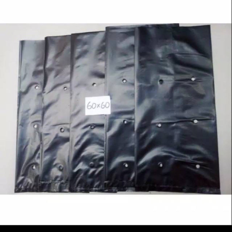 Polybag 60 x 60 sangat tebal