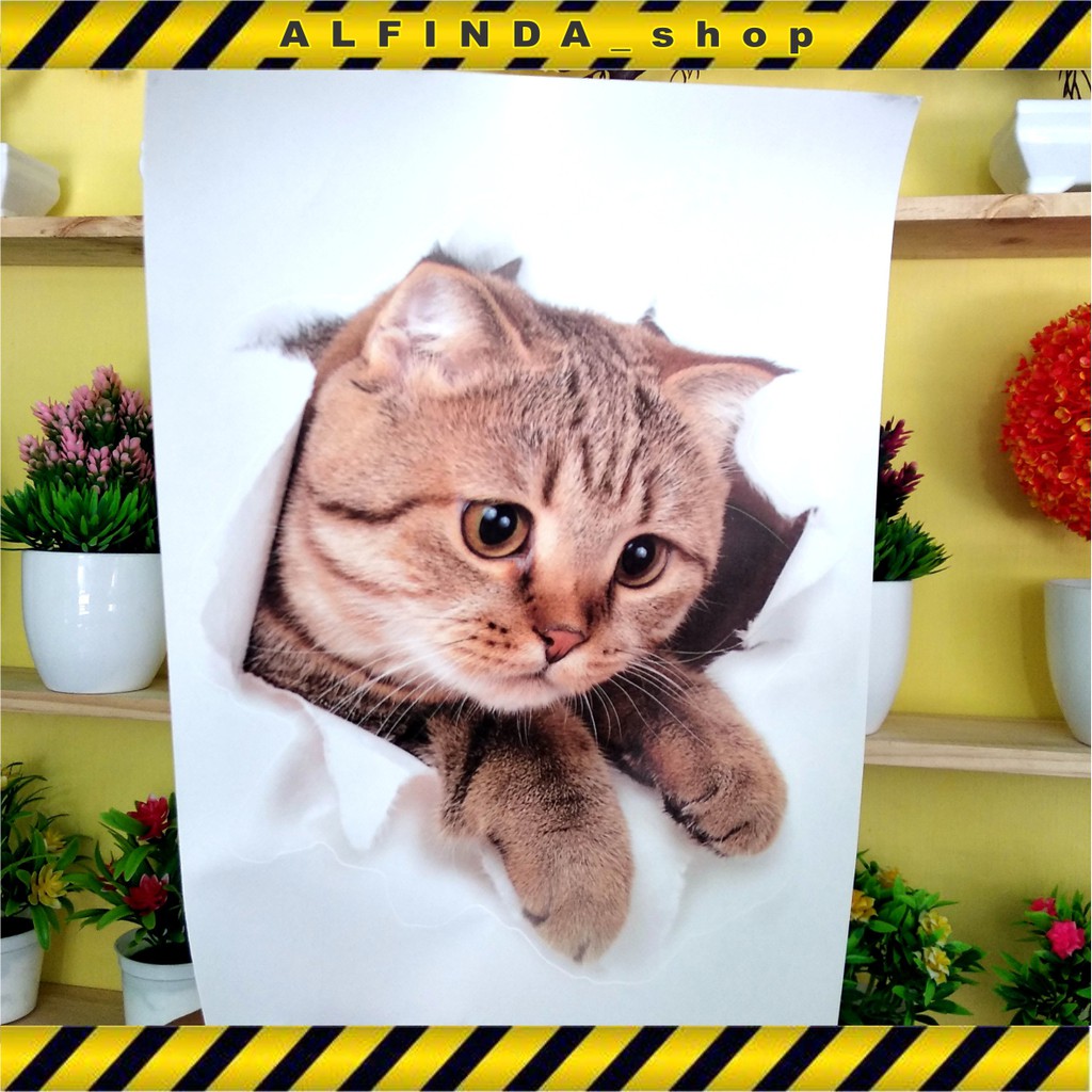 Stiker Kucing 3d Dekorasi Dinding Unik Motif Hewan Wallpaper Lucu Untuk Hiasan Kamar Lemari Kulkas Shopee Indonesia