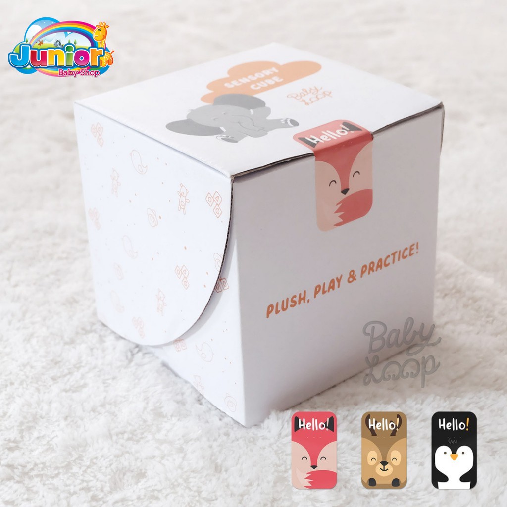 Baby Loop Sensory Cube Music