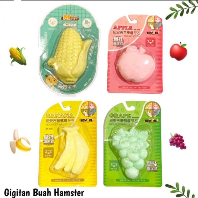 Gigitan Hamster Motif Buah Gnawing Stone Batu Mineral Asah Gigi Hamster Dental Care