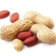 Benih kacang Tanah 1kg