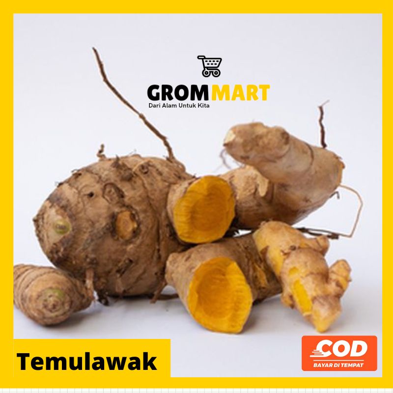 

Temulawak fresh 500 gram