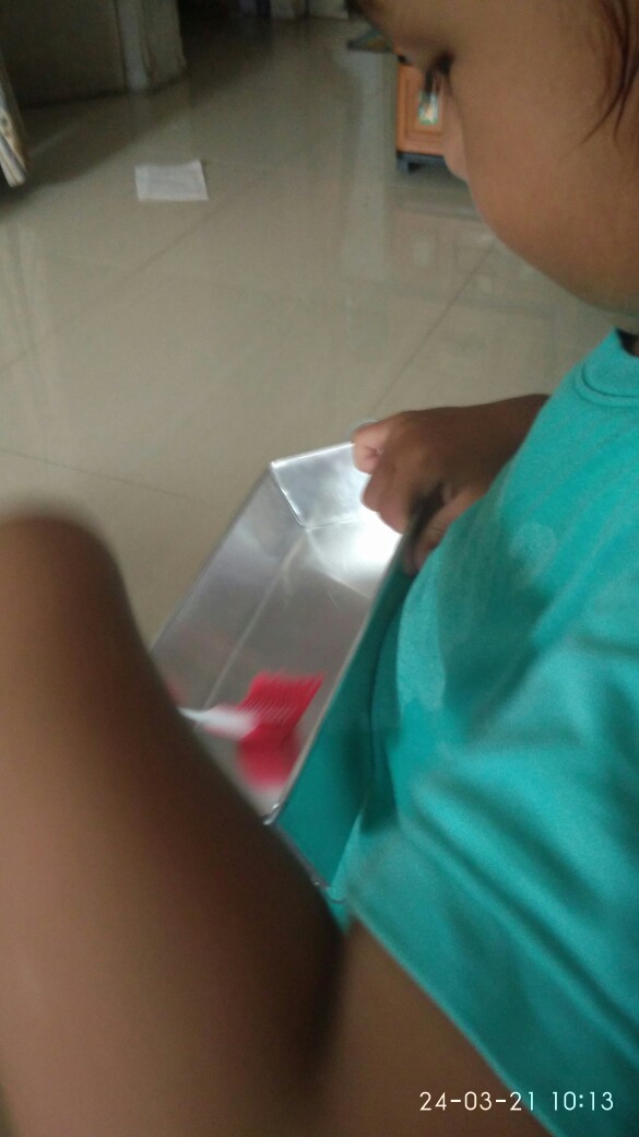 Cetakan Bunga Plastik 1tray