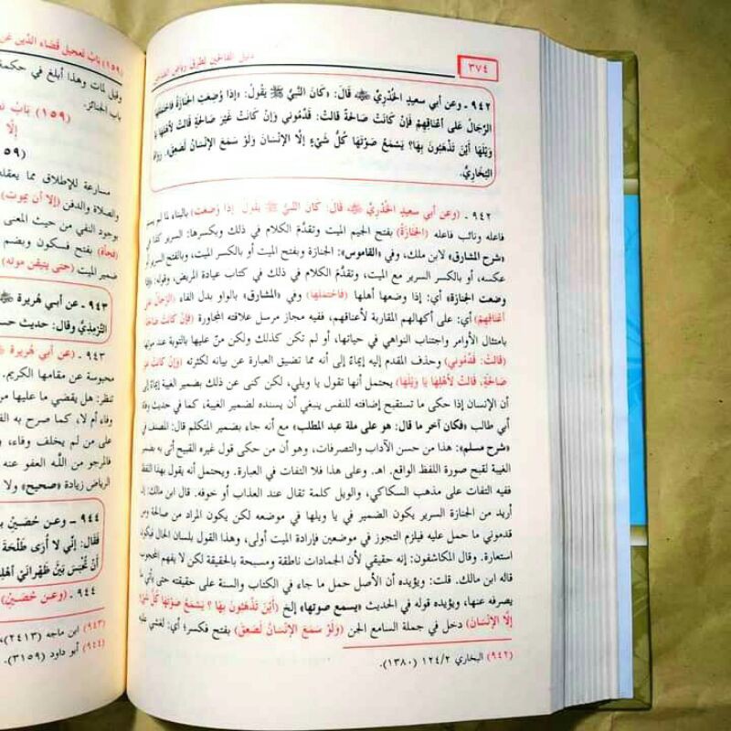 DALILUL FALIHIN MESIR