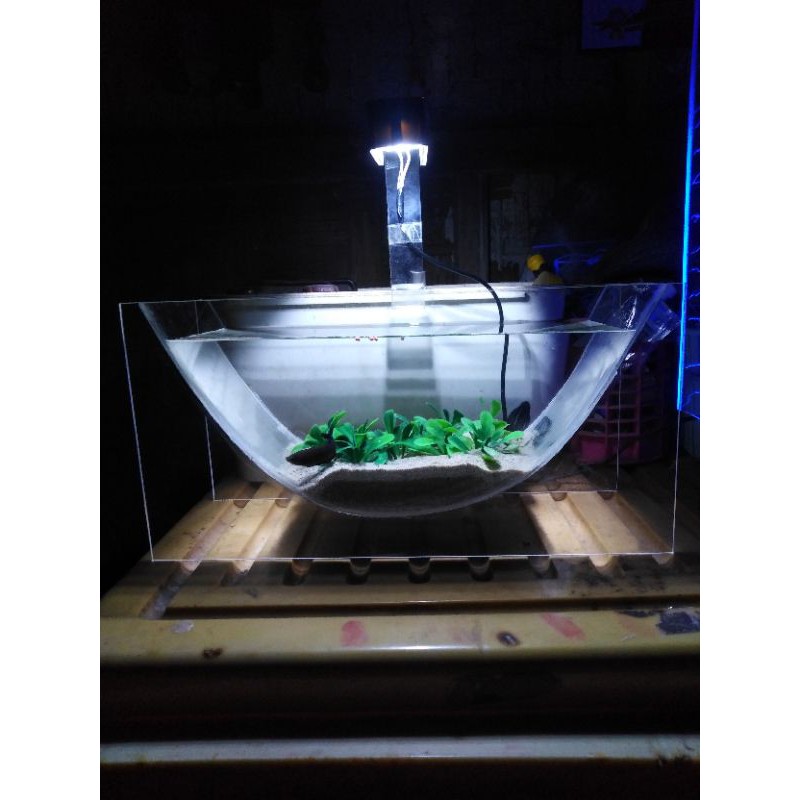 aquarium mini perahu