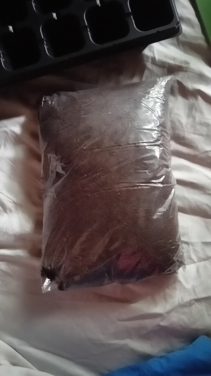 Tray Semai 32 Lubang
