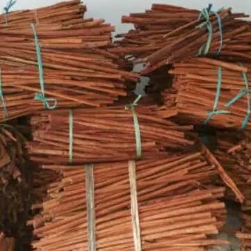 

Promo Spesial - Batang Kayu Manis 1Kg