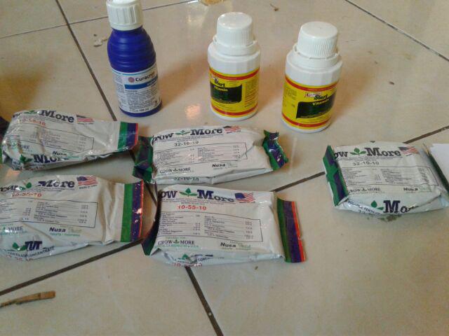 Insektisida Curacron Pembasmi Hama Kutu Putih