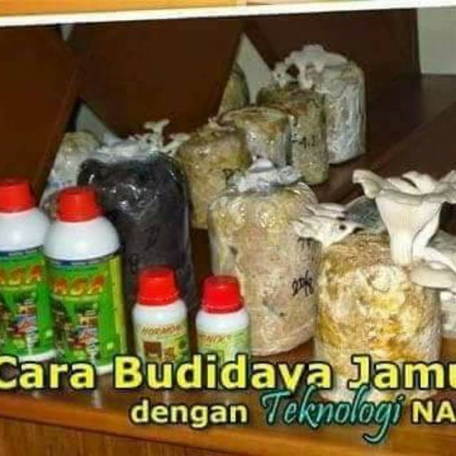 POC dan HORMONIK Nasa