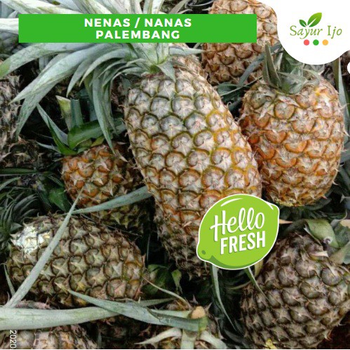 

Buah Nenas Palembang PER PCS / BUAH Fresh Grade A Pineapple Fruit Nanas Lokal Manis Segar