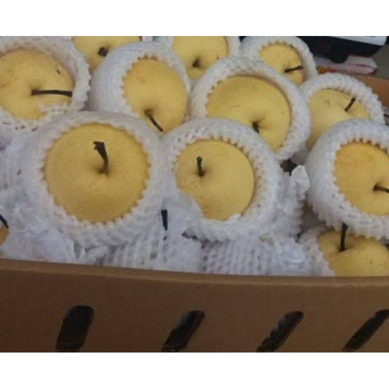

Pir Segar/1kg