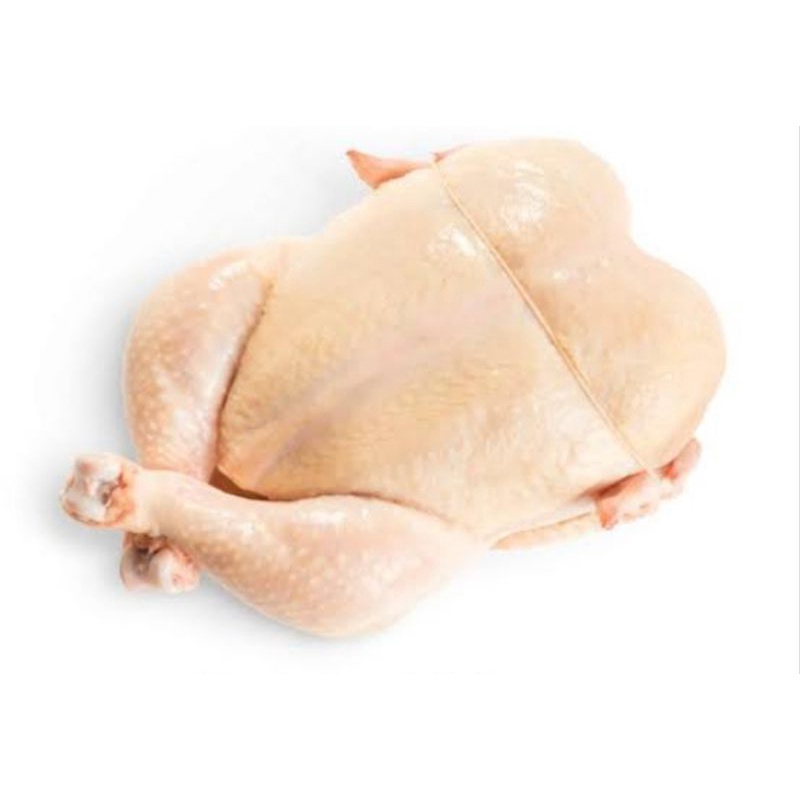 

JUAL AYAM POTONG KARKAS
