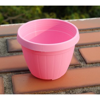 Pot Bunga Gantung Ukuran 3 Inci Warna Biru putih pink Pot Bunga Gantung Ukuran 3 Inci Warna Biru putih pink