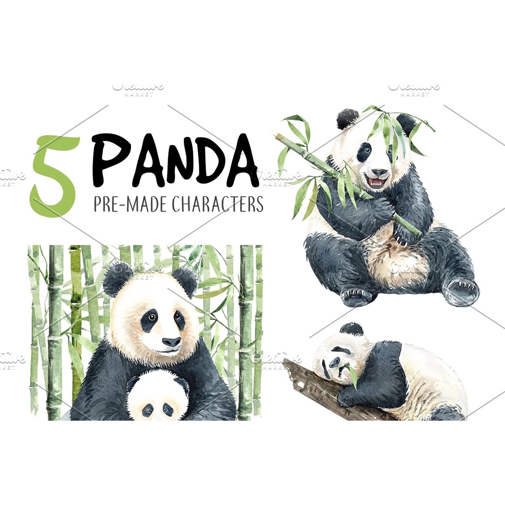 Panda Watercolor Animal Clip Art - Vector Designs