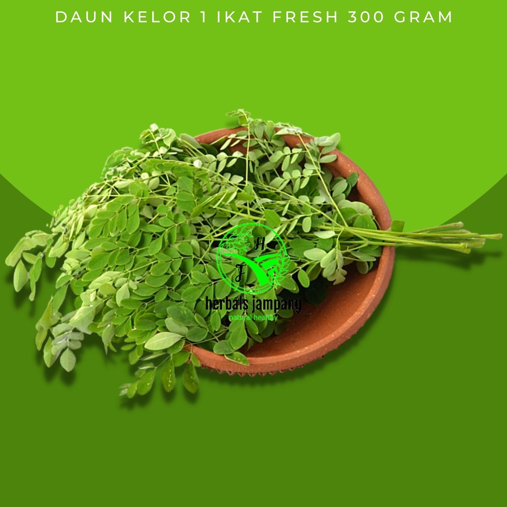 

Daun Kelor Segar 350gr / Fresh Quality Daun Kelor Segar Fresh Bahan Herbal pohon kelor daun kelor fresh segar langsung ambil dari pohon daun kelor segar tanaman herbal daun kelor dijual per 1 ikat kemasan 300 gram obat herbal daun kelor