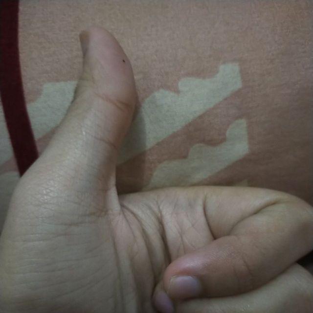 Tempat Sampah 42 Liter Komet Star