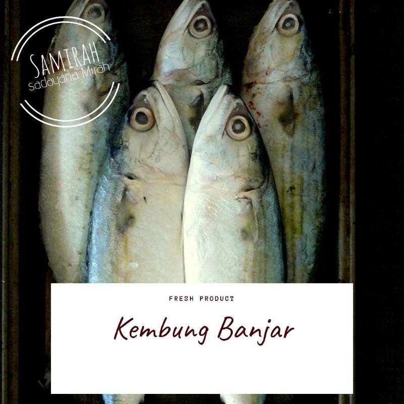 

IKAN KEMBUNG BANJAR