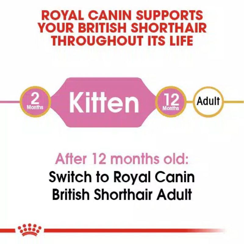 Royal Canin Kitten British Shorthair 2Kg Freshpack Makanan Kucing Kitten British