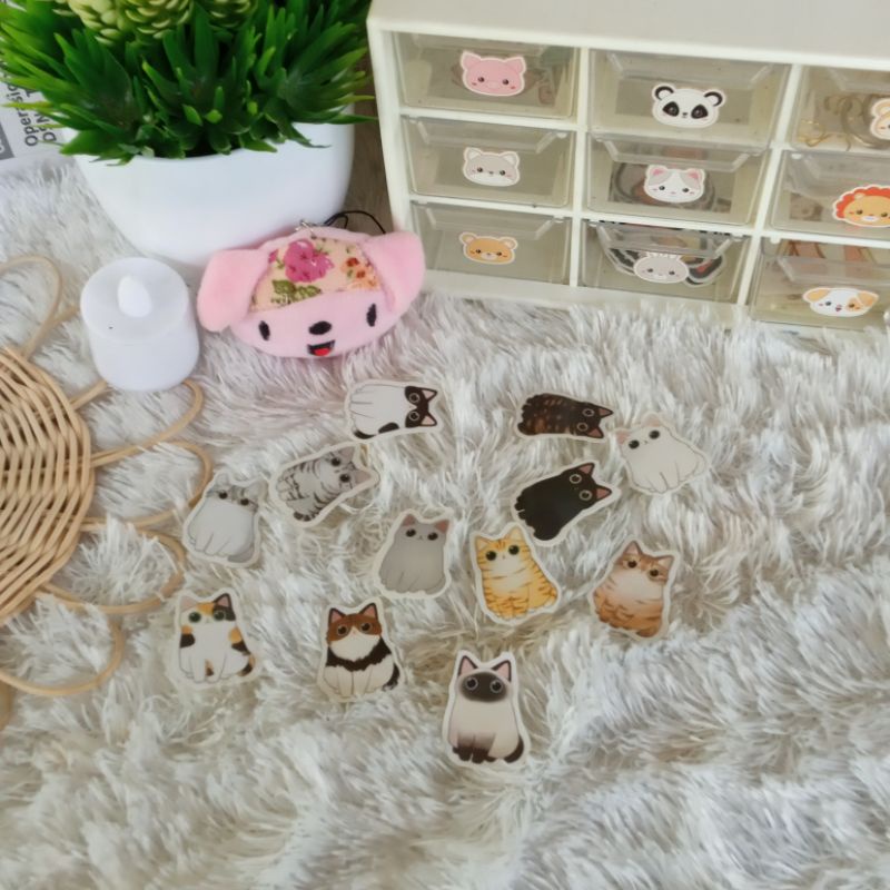 

Sticker Aesthetic satuan cat series