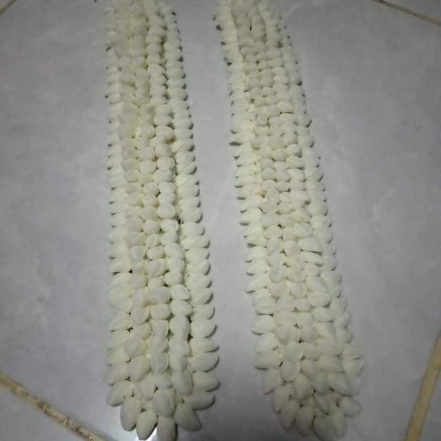 Keket melati melati palsu